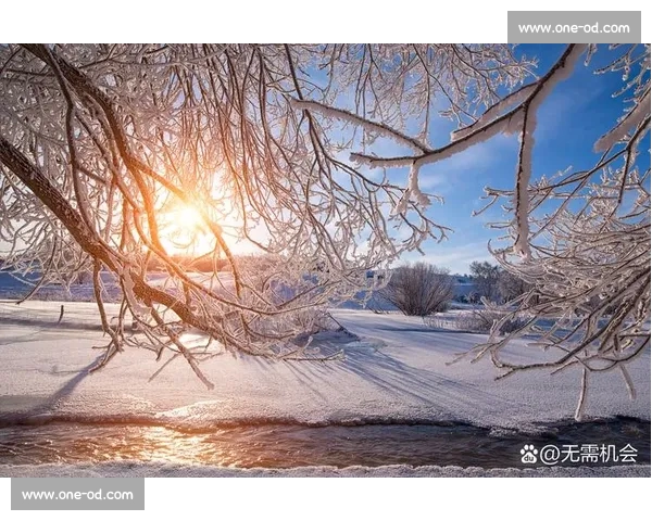 日常微光：触摸生活的温度